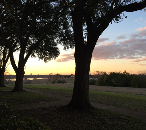 Autumn Leaves - Dallas, TX