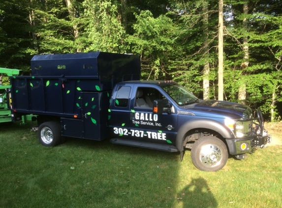 Gallo Tree Service - Wilmington, DE