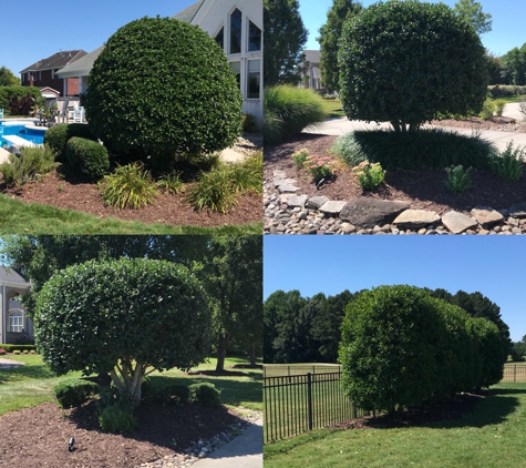 Sharper Edge Lawn and Landscaping