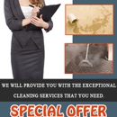 Little ELm TX Carpet Cleaning - Carpet & Rug Cleaners
