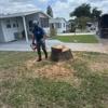 81Tree services gallery