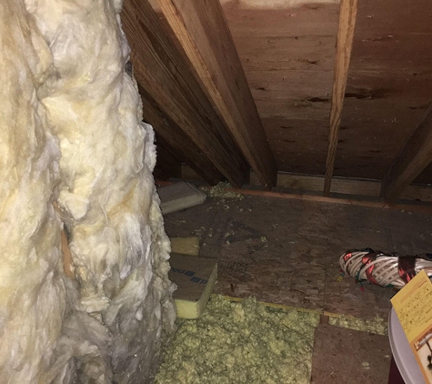 Insulation Systems - Collierville, TN