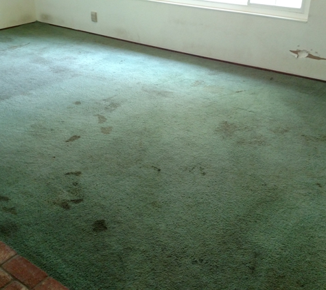 Excellence Carpet & Upholstery Cleaning - Davis, CA