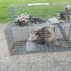 Indiana Wildlife Pros