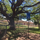 Kahala Elementary School - Elementary Schools