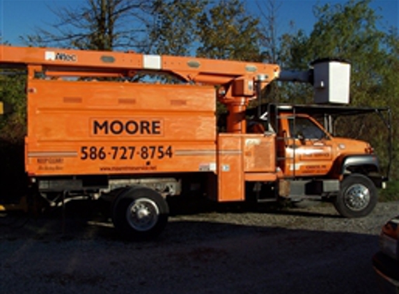 Moore Tree Service - Casco, MI