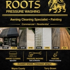Roots Pressure Washing