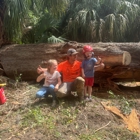 The Wood Doctor Tree Service