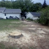 T&J Tree & Stump Removal gallery