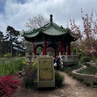 Golden Gate Park Skate & Bike - San Francisco, CA