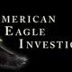 American Eagle Investigations