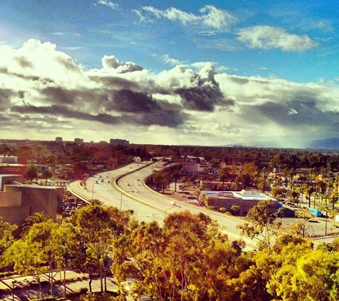 Symantec Dining Services - Culver City, CA