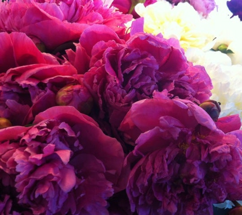 Pike Place Flowers - Seattle, WA