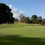 Gallery Image Number 2