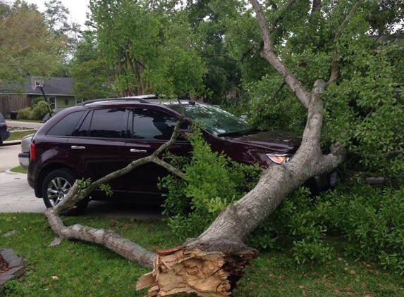 Don's Tree Service - Houston, TX