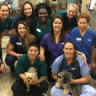 VCA Tanglewood Animal Hospital