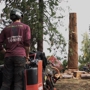 Pacific Arboriculture