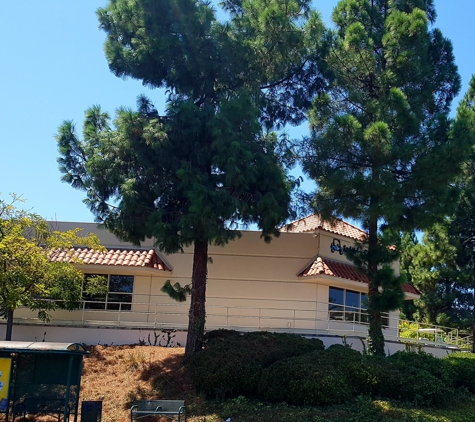 Saddleback Golf Cars - Laguna Woods, CA. Ouside with only some old carts available for sal