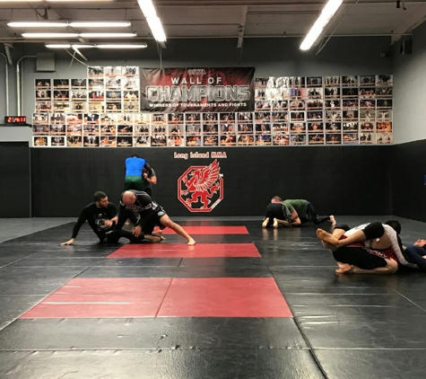 Long Island MMA & Fitness Center - S Farmingdale, NY