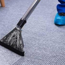 Magic Carpet Steam Cleaning - Carpet & Rug Cleaners