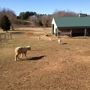 Fox Hollow Farm Gaithersburg