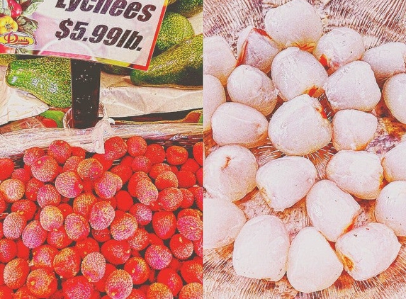 Doris Italian Market & Bakery - Coral Springs, FL