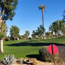 Springs Community - Real Estate Agents