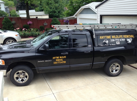 Anytime Wildlife Removal - Akron, OH