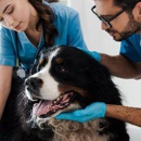 Bellevue Animal Hospital - Veterinarians