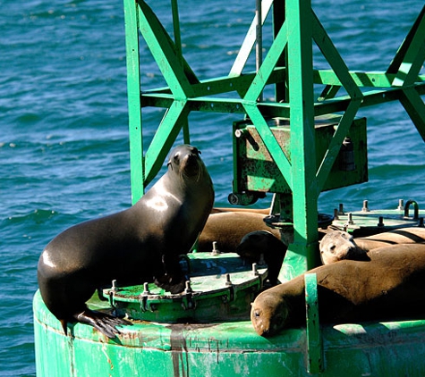 San Diego Boat Tours - San Diego, CA