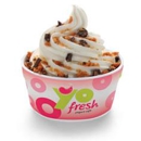 Yo Fresh Yogurt Cafe - Yogurt