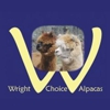 Wright Choice Alpacas gallery