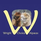Wright Choice Alpacas