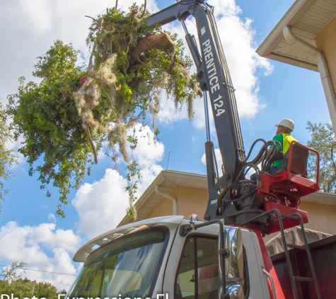 Pete & Ron's Tree Service - Tampa, FL