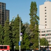 Liver Transplant Clinic at UW Medical Center - Montlake gallery