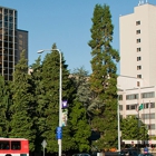 Center for Interstitial Lung Diseases at UW Medical Center - Montlake