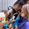 Full Circle Equine Veterinary Services gallery