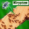 Krypton Pest Control gallery