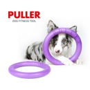 COLLAR LLC - Pet Supplies & Foods-Wholesale & Manufacturers