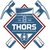 Thors Handyman or Repair Services gallery