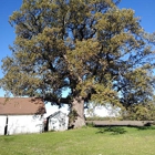 Cassity Tree Service and Care