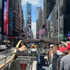 Best New York City Bus Tour gallery
