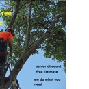 sony tree service - Tree Service