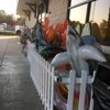 Harps Food Stores gallery
