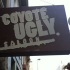 Coyote Ugly Saloon