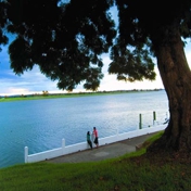 Gallery Image Number 5