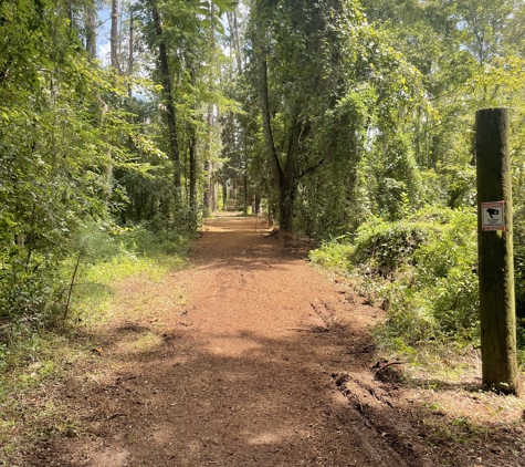 Century Tree and Mulching Service - Leesburg, GA