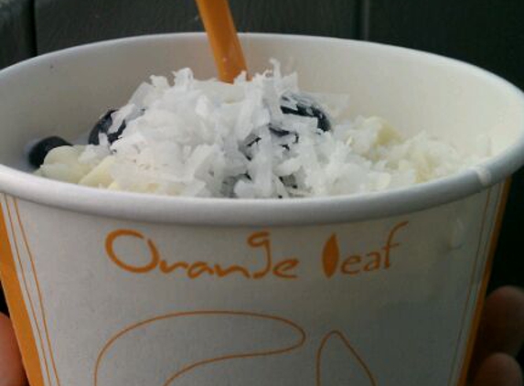 Orange Leaf Frozen Yogurt - New Braunfels, TX