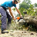 Muskogee Tree - Tree Service