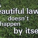 Green Leaf Lawn Care - Lawn Maintenance